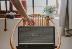 speaker