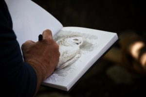 drawing